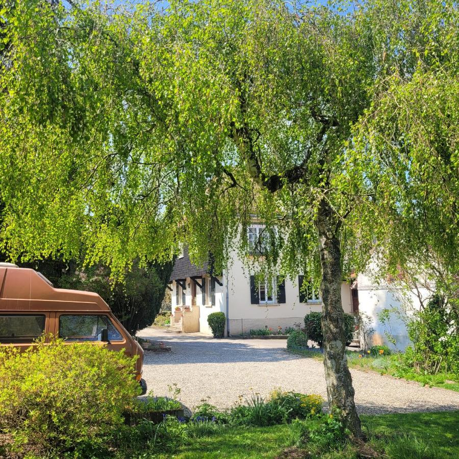 Bed and Breakfast La Tirelire Cosswiller Exteriér fotografie